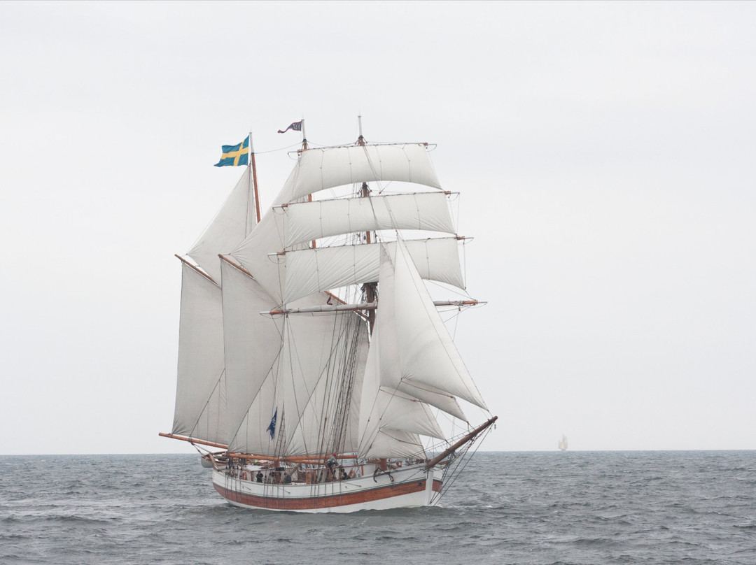 Schooner Vega