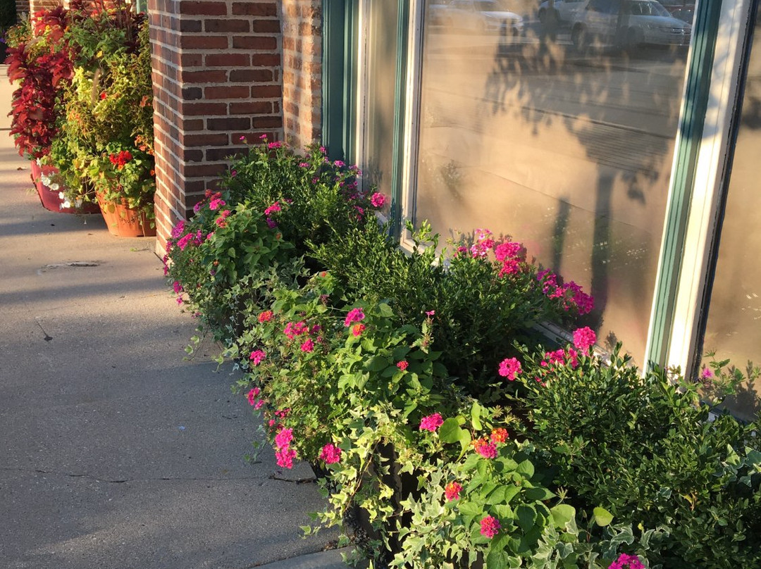 Market Square-Lake Forest必去景点