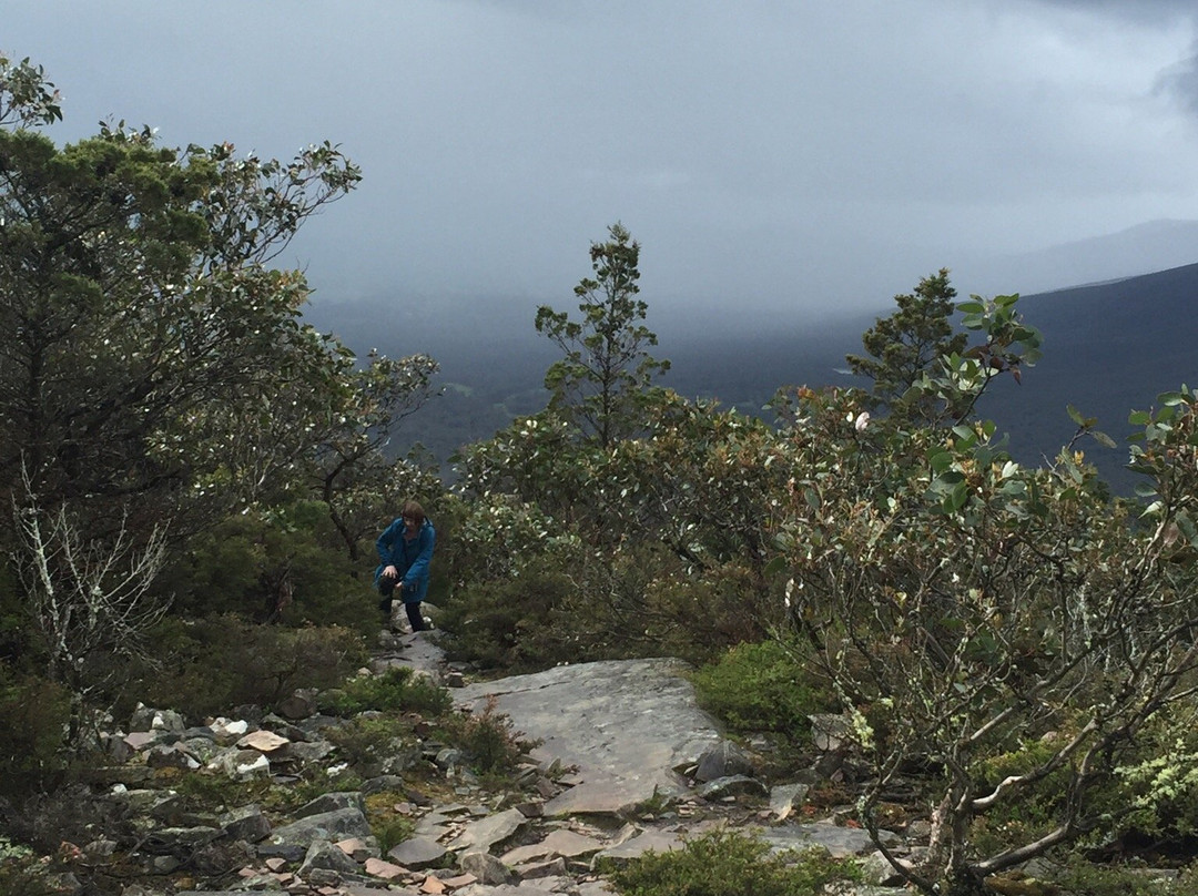 Mt Sturgeon-Dunkeld必去景点