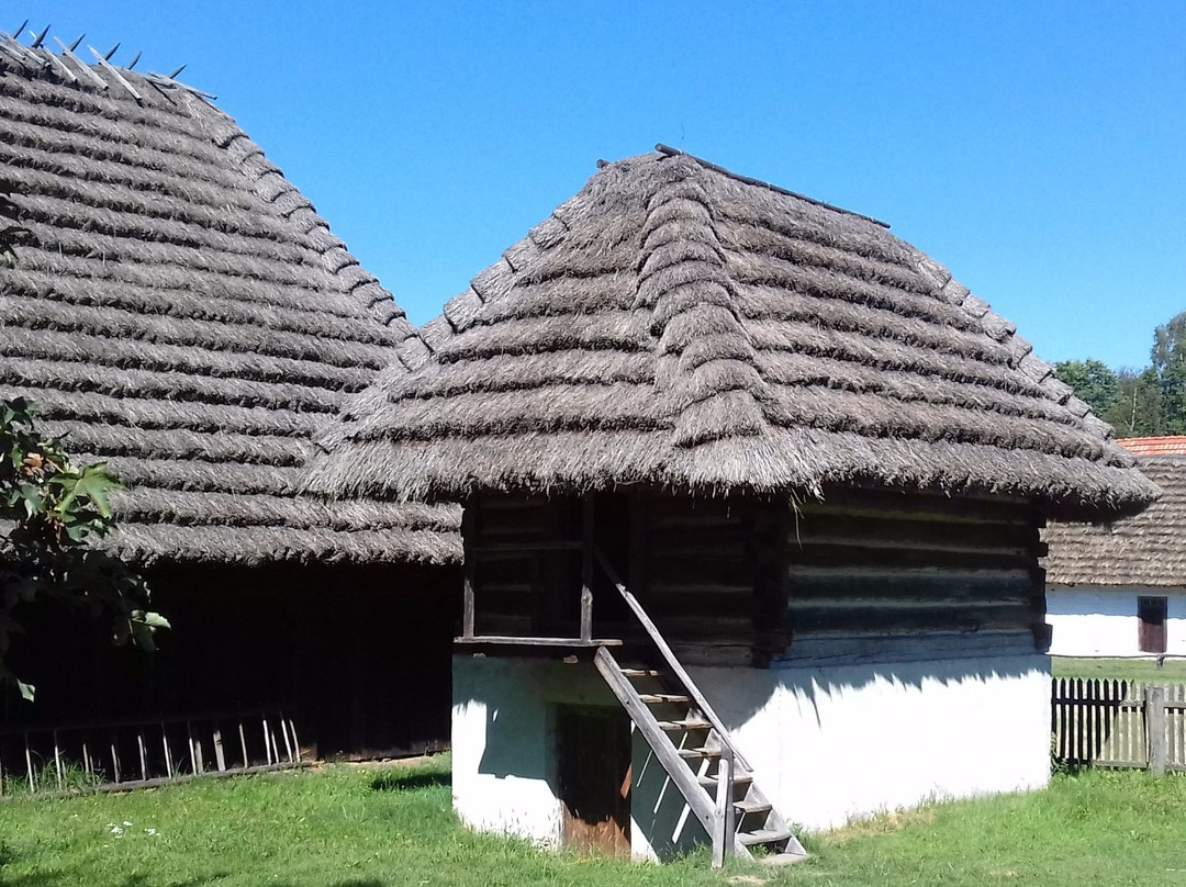 Folk Museum Kolbuszowa景点图片