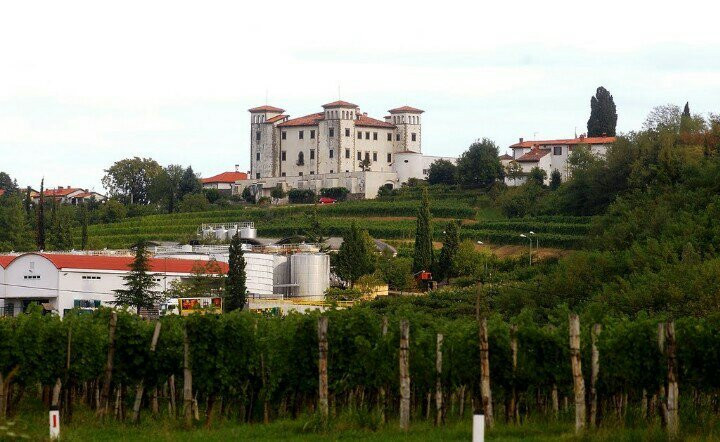 The Dobrovo Castle景点图片