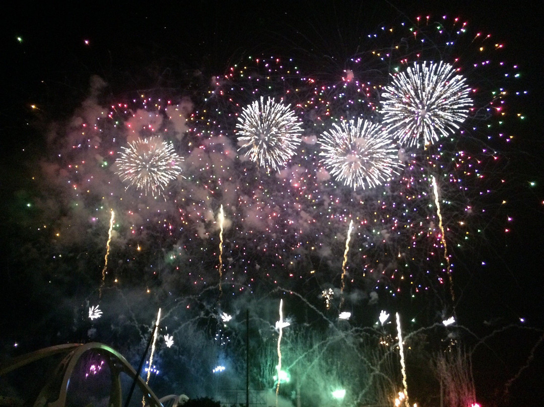 Toyota Oiden Festival Fireworks景点图片