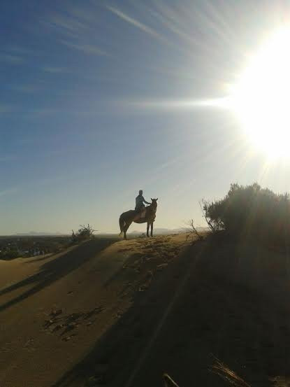 Mild2Wild Adventures-杰佛瑞湾必去景点