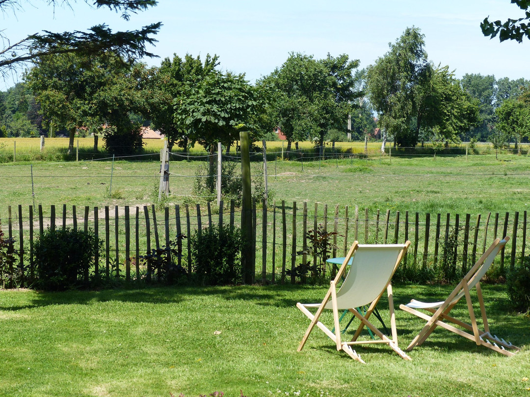 Paardenhof Guesthouse主图
