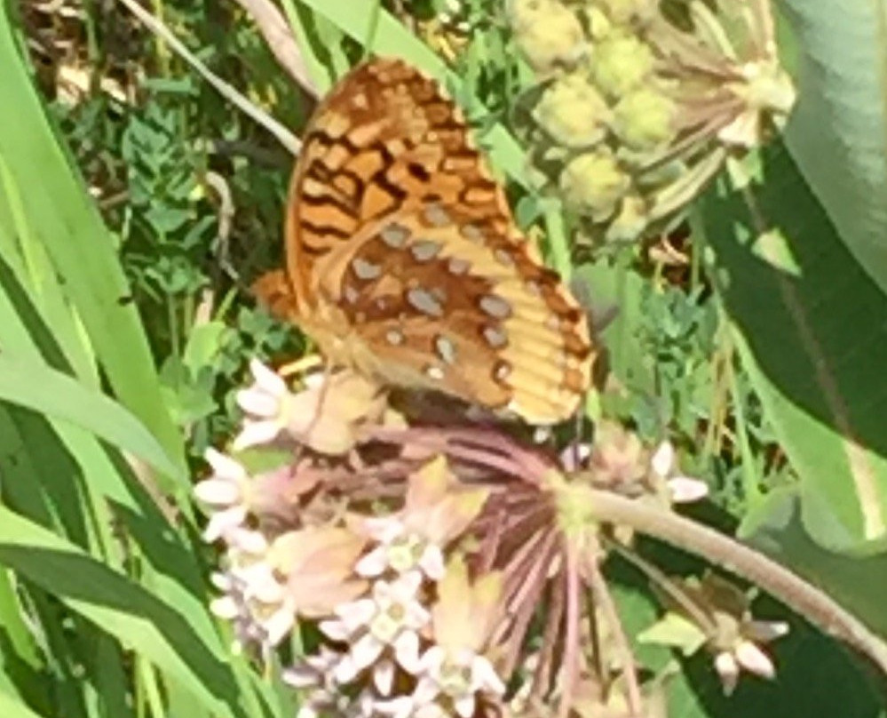 Miller Creek Wildlife Area景点图片