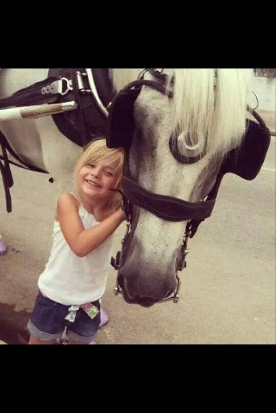 Brookdale Farms-Eureka必去景点