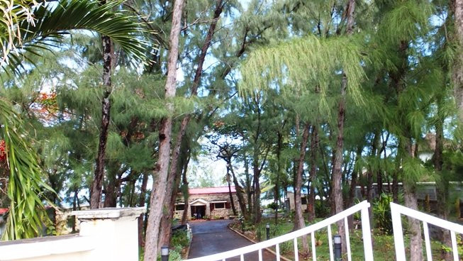 Robert Edward Hart Memorial Museum-Souillac必去景点