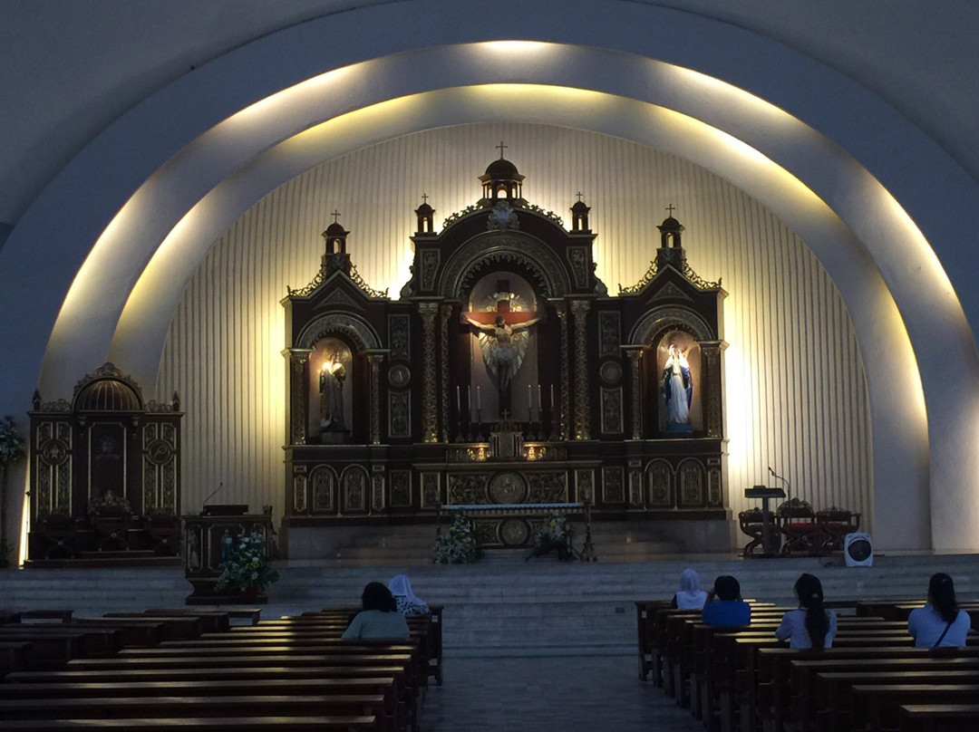 San Pedro Cathedral景点图片