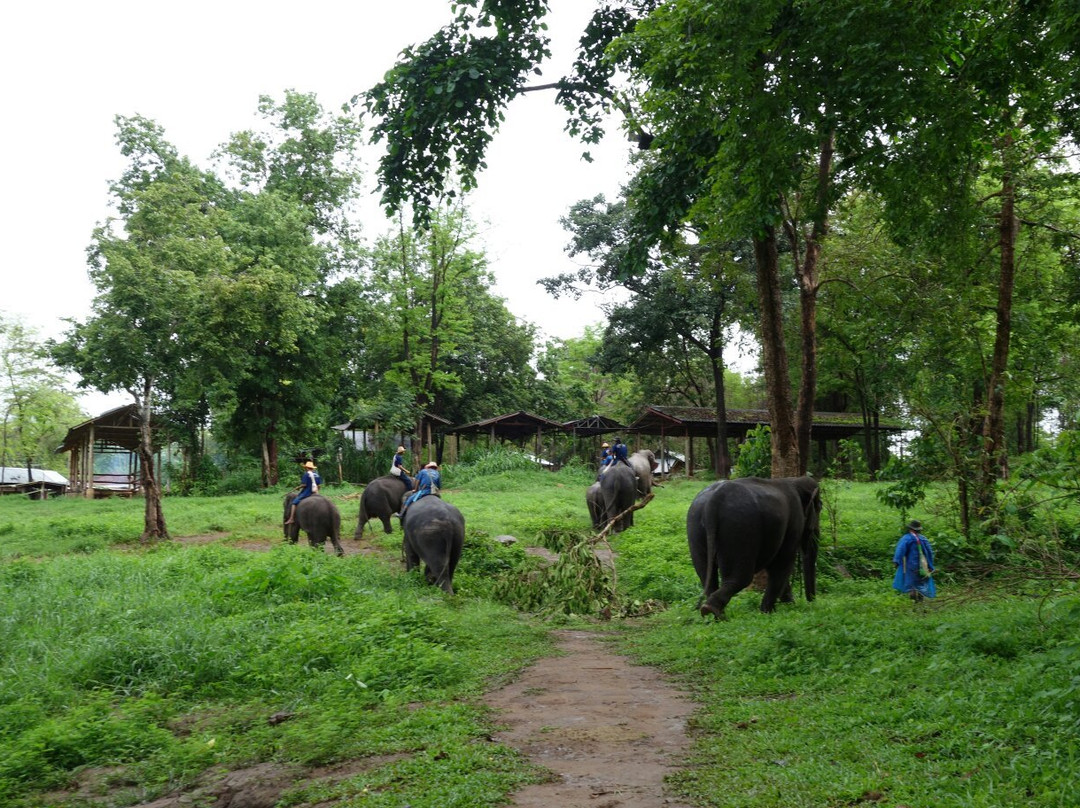 Sappraiwan Elephants Sanctuary景点图片