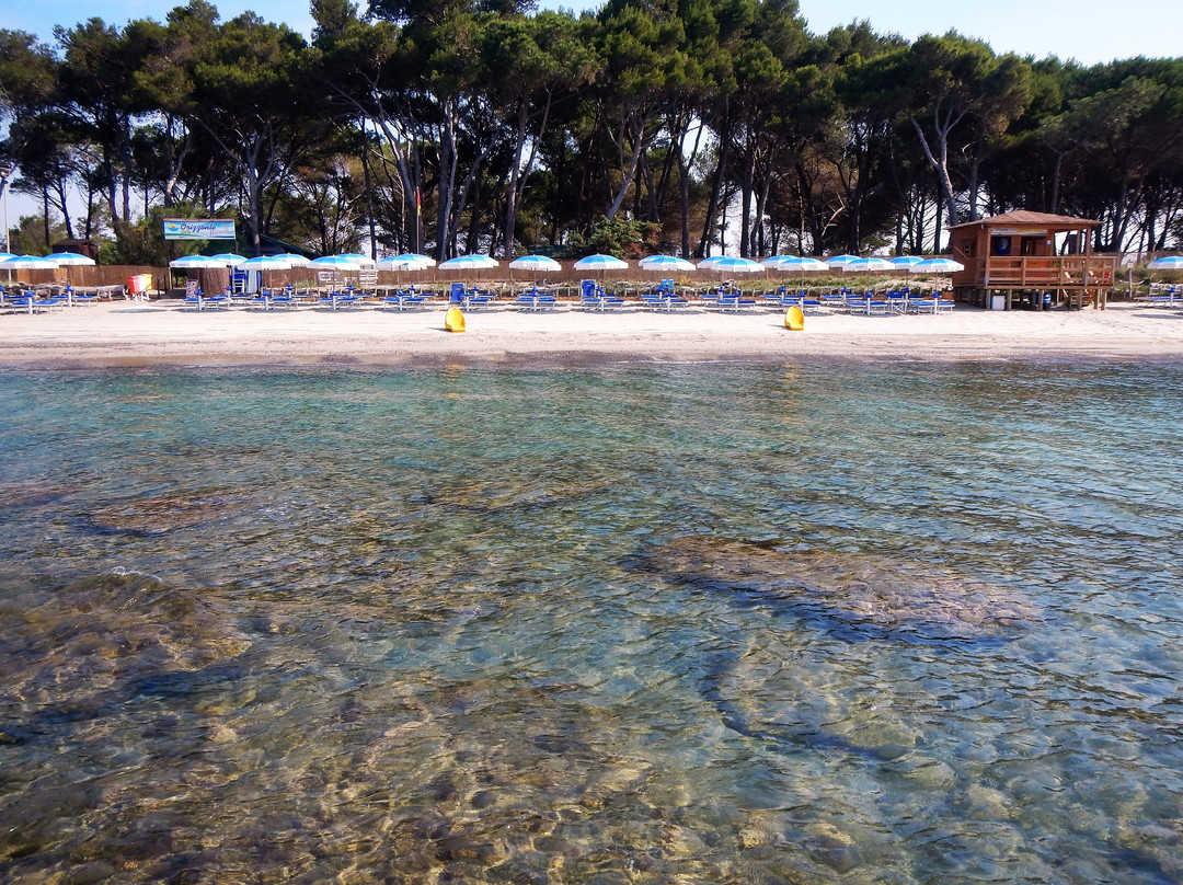 Orizzonte Beach-皮翁比诺必去景点