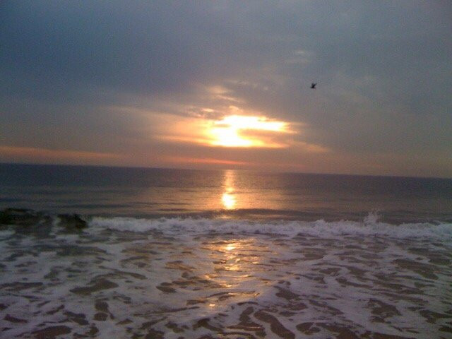 Brick Beach 1景点图片
