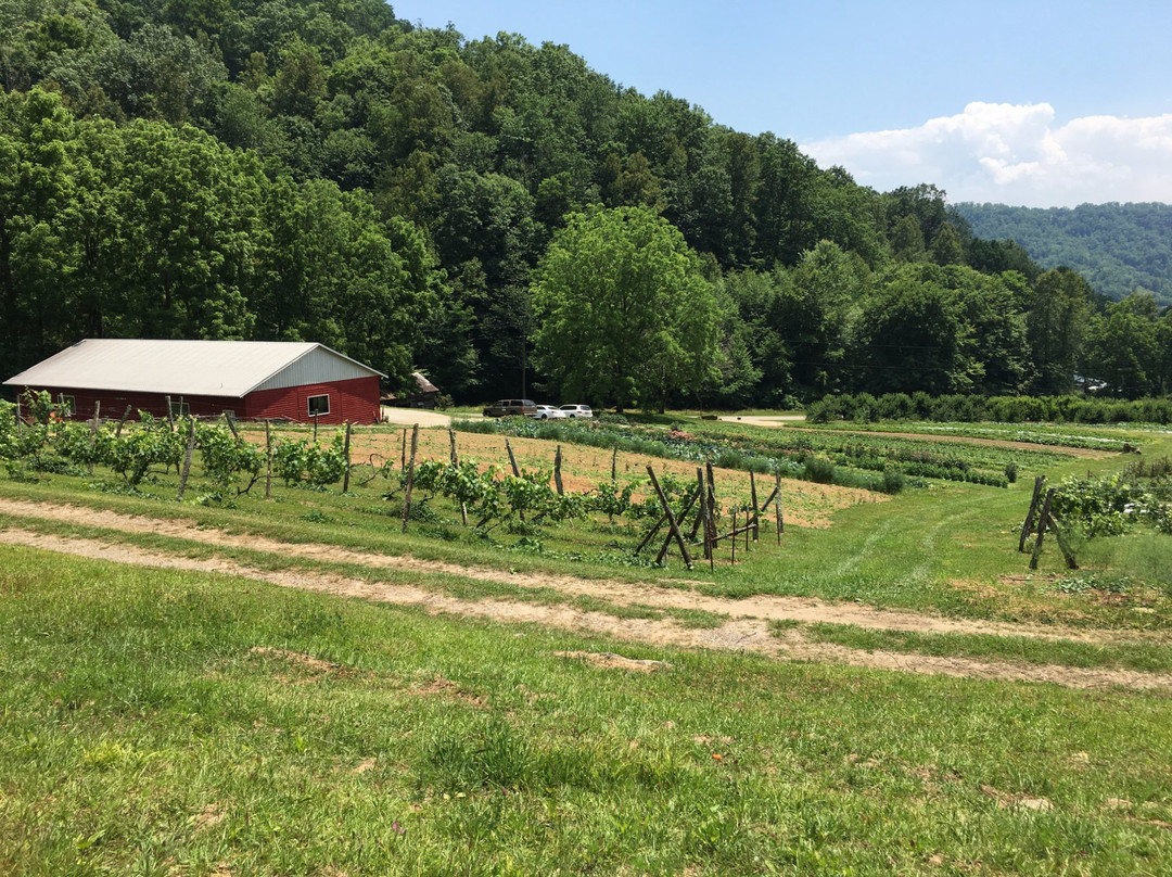 Stoney Hollow Farm-罗宾斯维尔必去景点