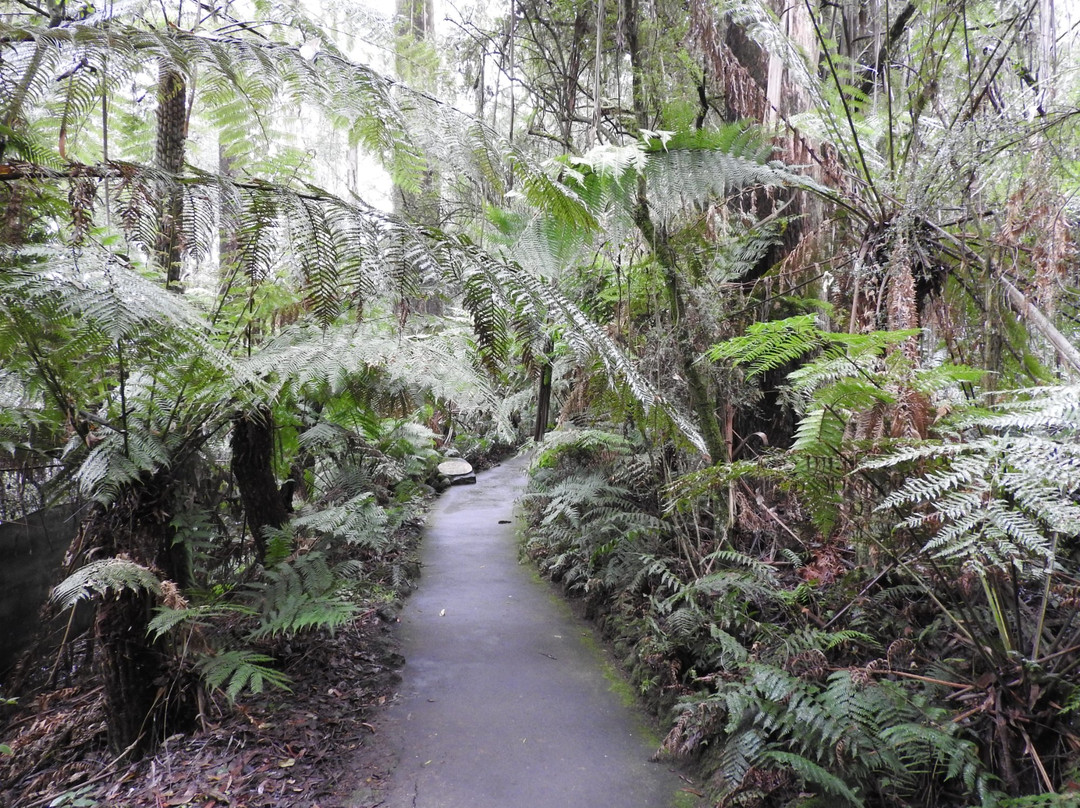 丹德农山旅游攻略图片