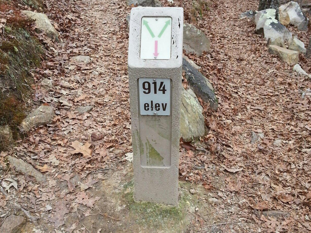 Pine Mountain Recreation Area-Cartersville必去景点