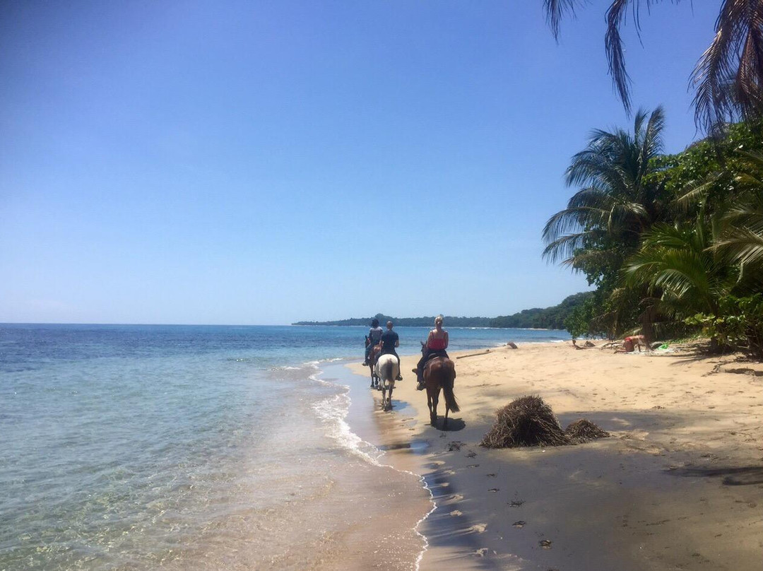 Caribe Horse Riding Club景点图片