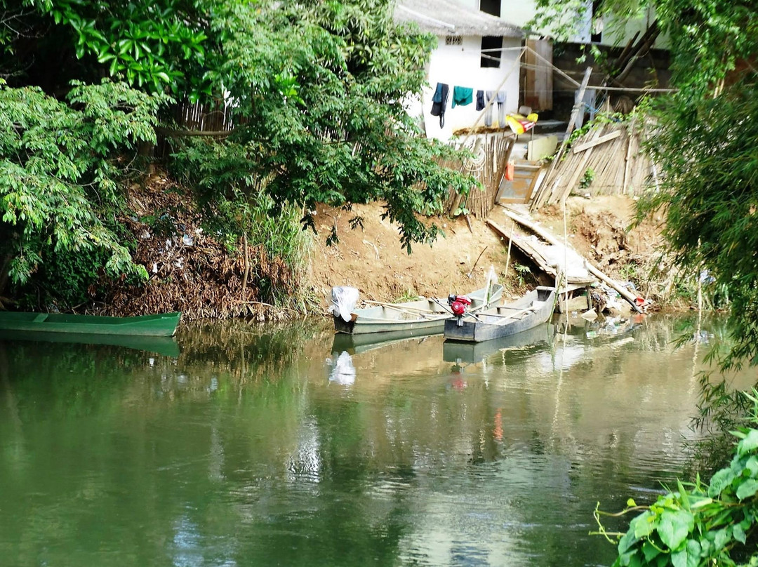 Pomba River景点图片