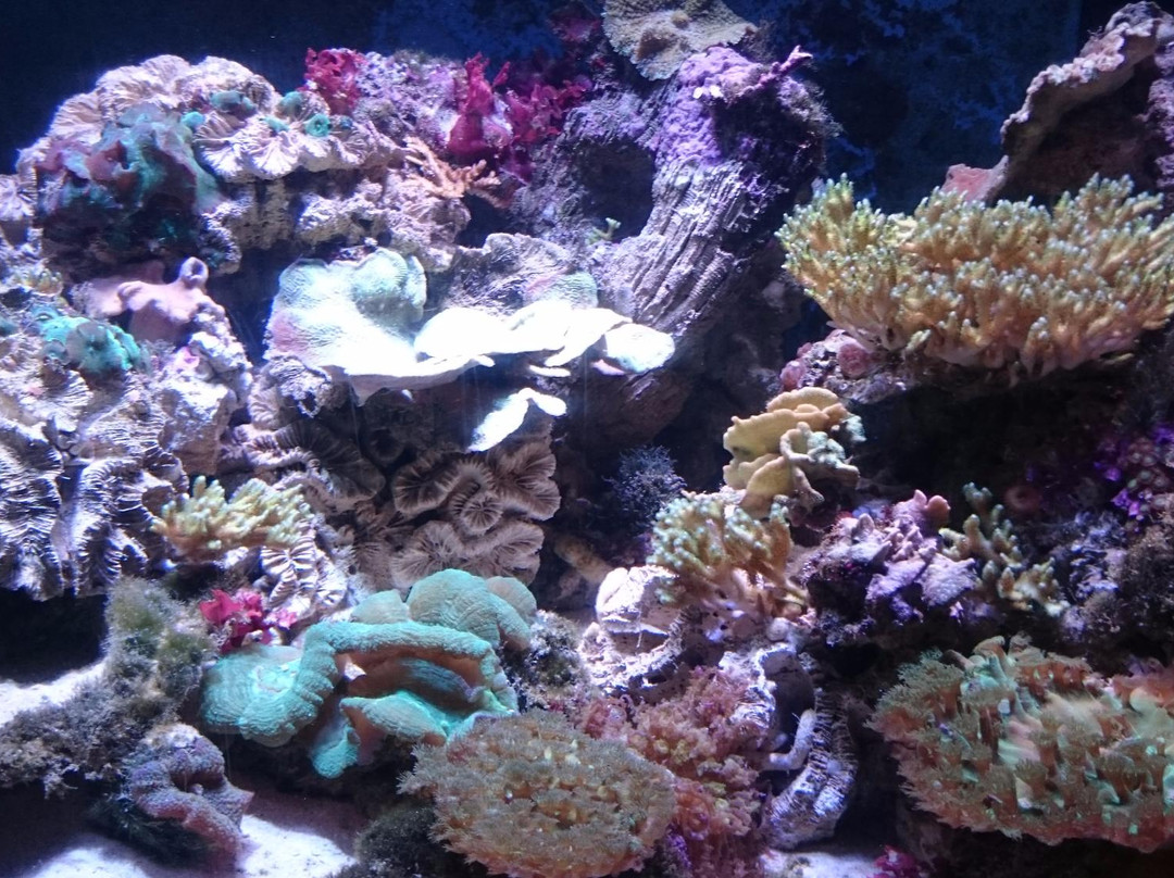 Wakayama Prefectural Museum of Natural History-海南市必去景点