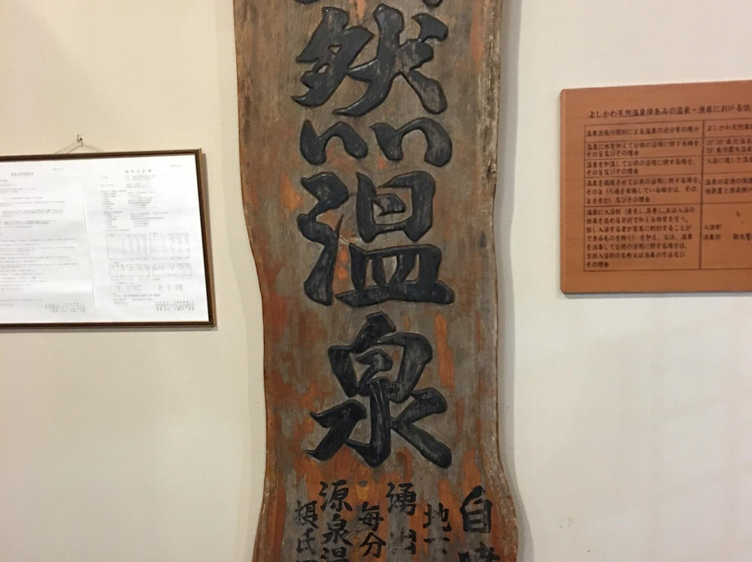 Yoshikawa Natural Onsen Yuami-吉川市必去景点