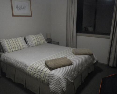 Snowy River Horseback Adventure Day Tours-Crackenback必去景点