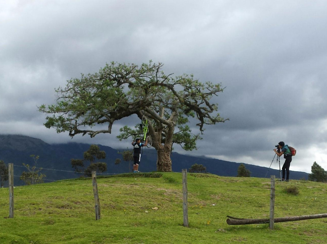 El Lechero-奥塔瓦洛必去景点