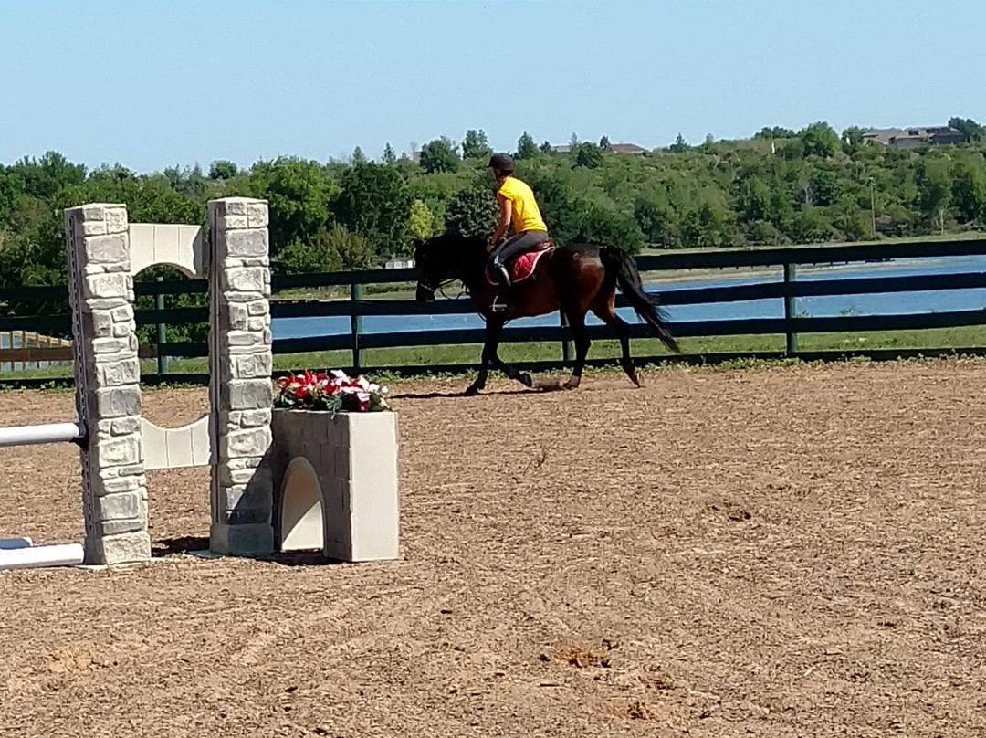 Al-Marah Arabian Horses-Clermont必去景点