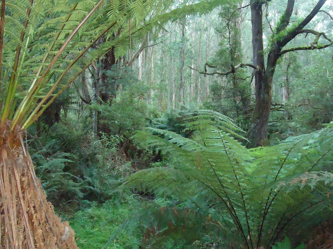 Mt Worth National Park-Allambee必去景点