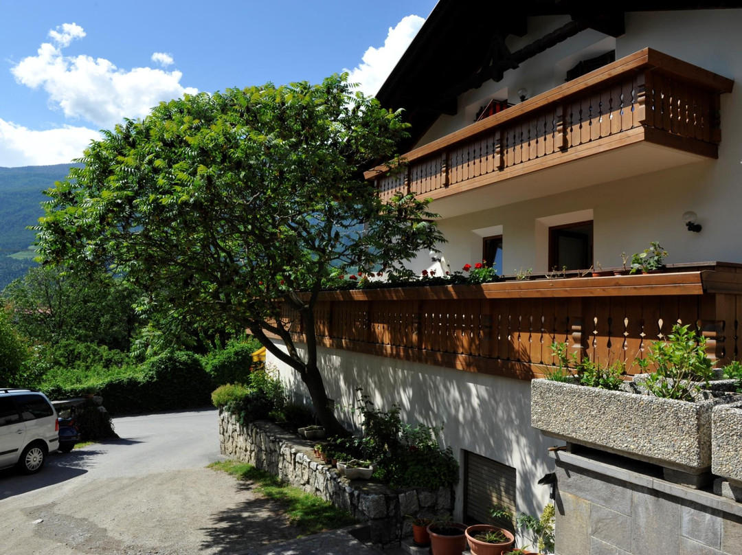 Pension Gasthof Rita主图