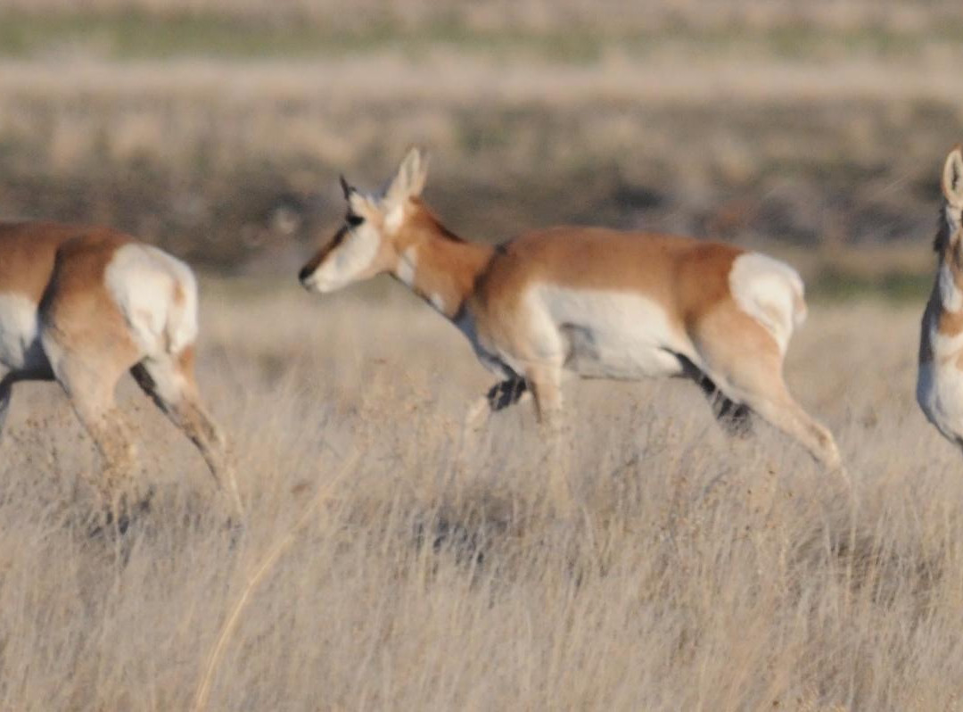 Dugway Geode Beds-Dugway必去景点
