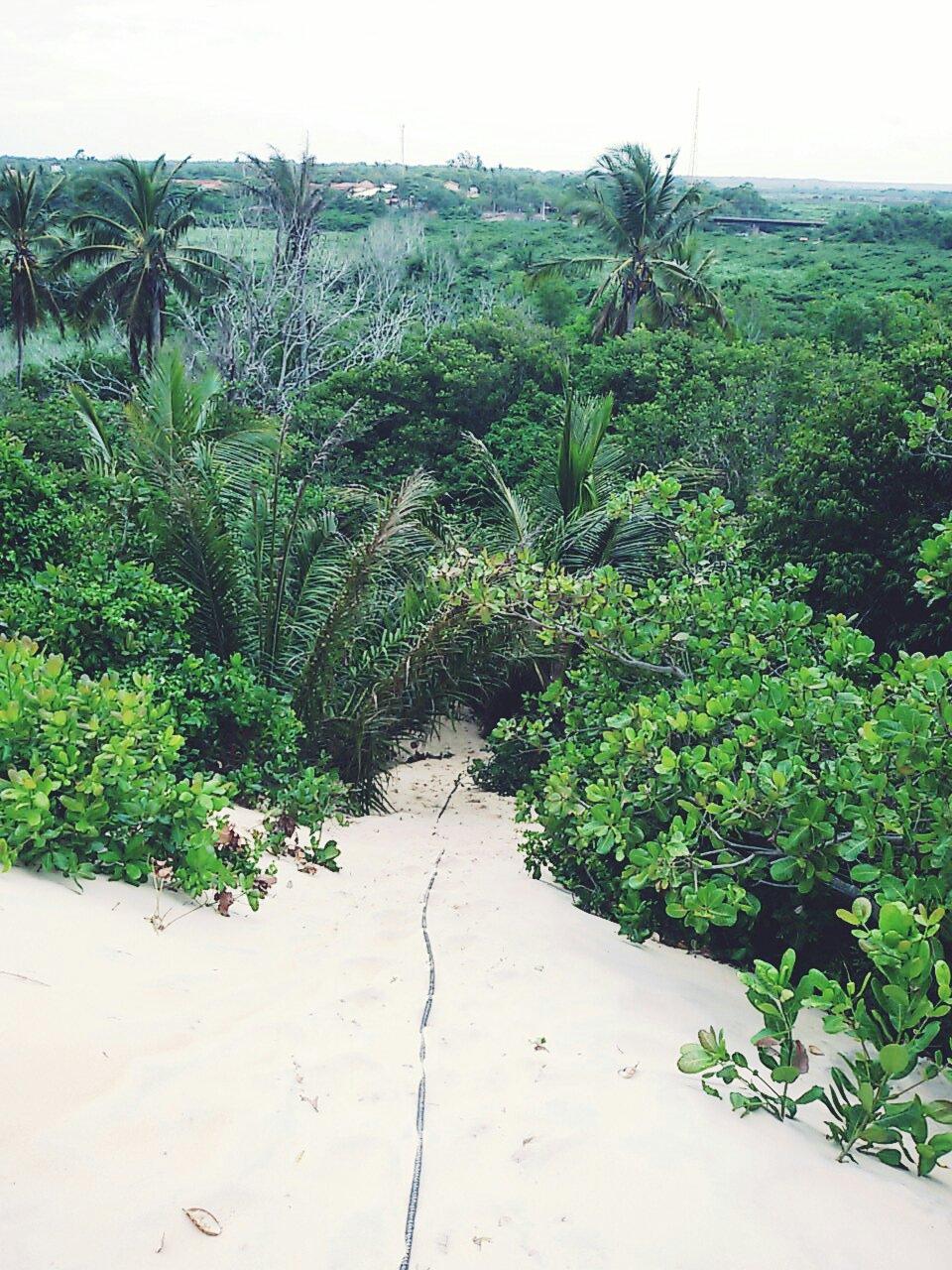 Pousada Flores-官方