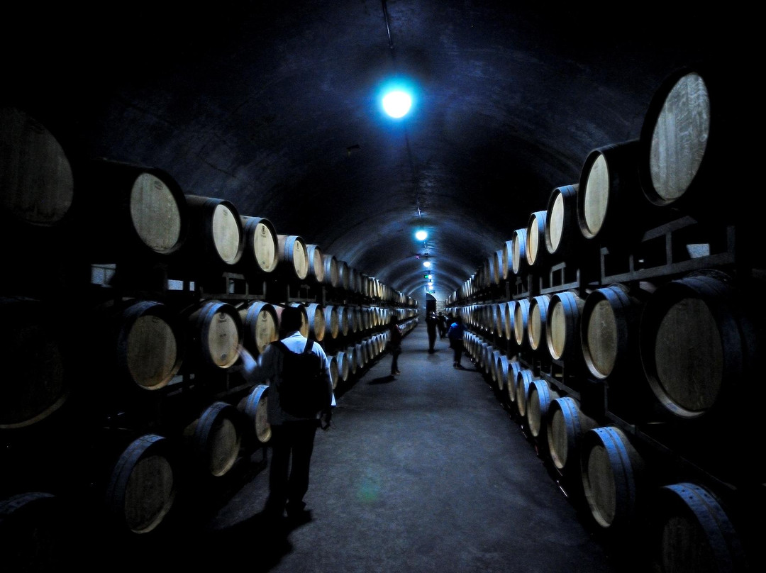 烟台张裕集团-烟台市必去景点