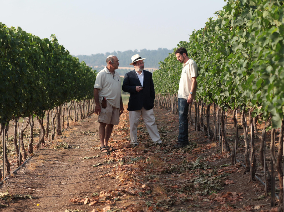 Netofa Winery-Mitse Netofa必去景点