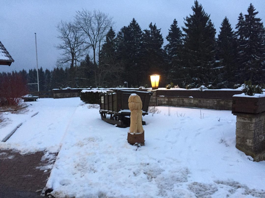 BSW - Erlebnishotel Festenburg主图