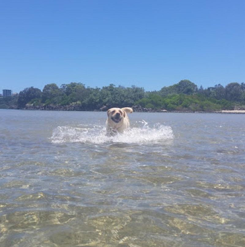 Gypsy Calm Water Cruise-堤维德岬必去景点