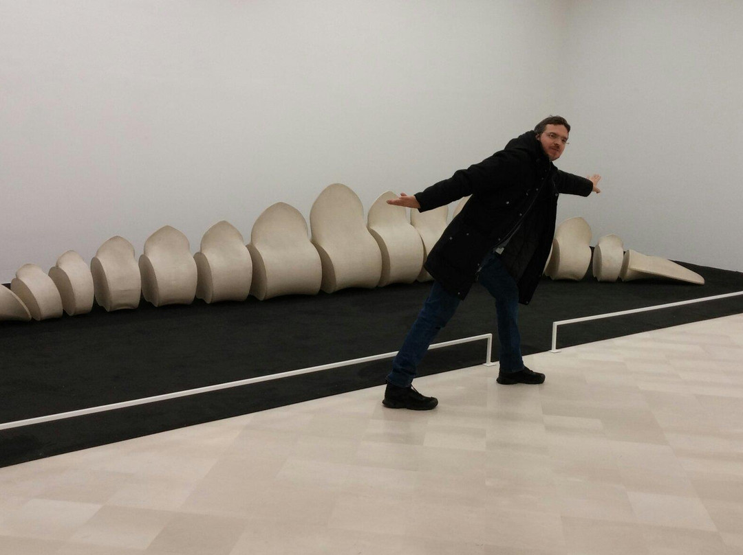 Fondazione Pino Pascali - Museo di Arte Contemporanea景点图片