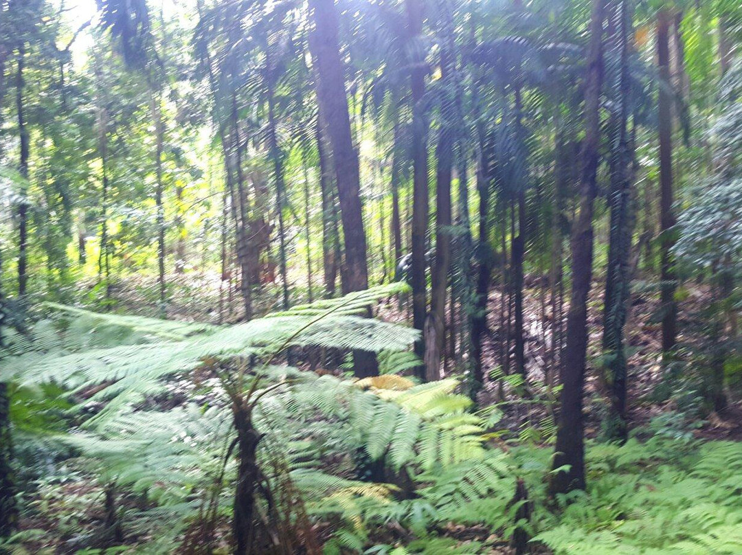 Tondoon Botanic Gardens-Gladstone必去景点