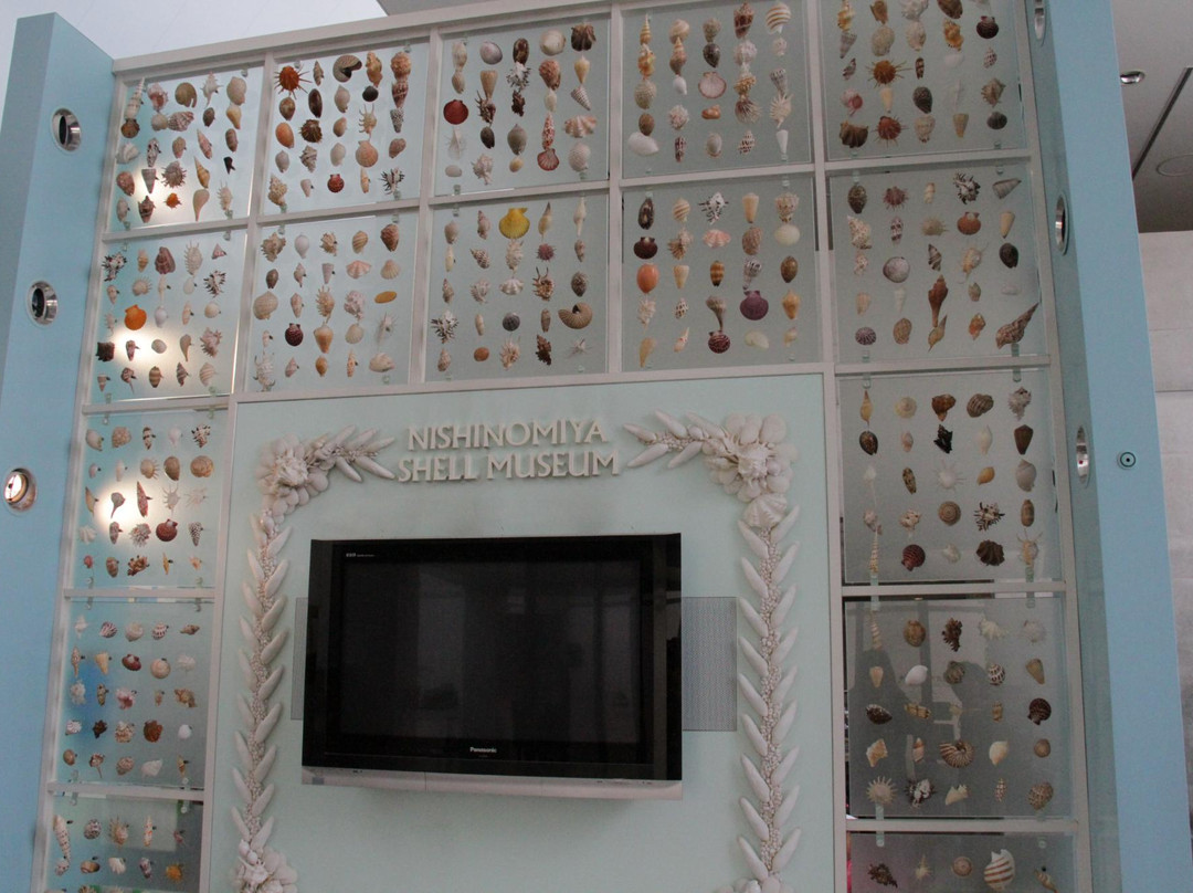 Nishinomiya Shell Museum-西宫市必去景点