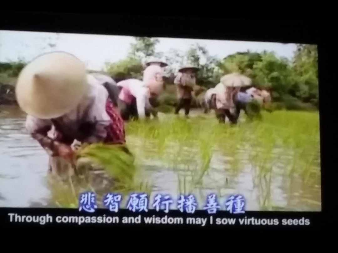 KL Tzu-Chi Jing Si Hall-吉隆坡必去景点