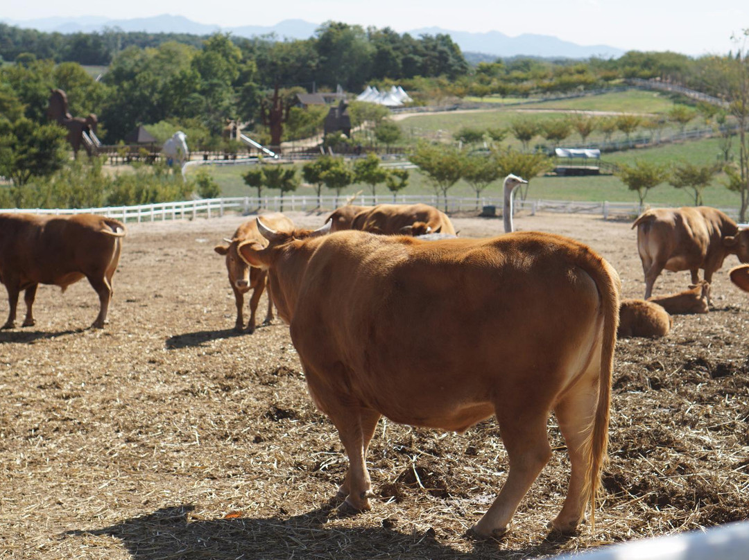 Agroland Taesin Farm-唐津郡必去景点