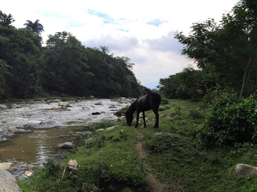 La Confluencia-Jarabacoa必去景点