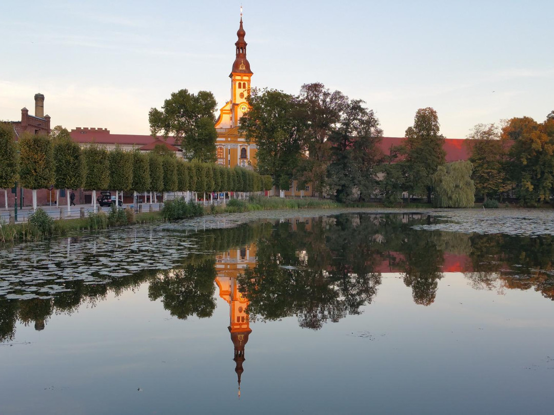 Schenkendoebern旅游攻略图片