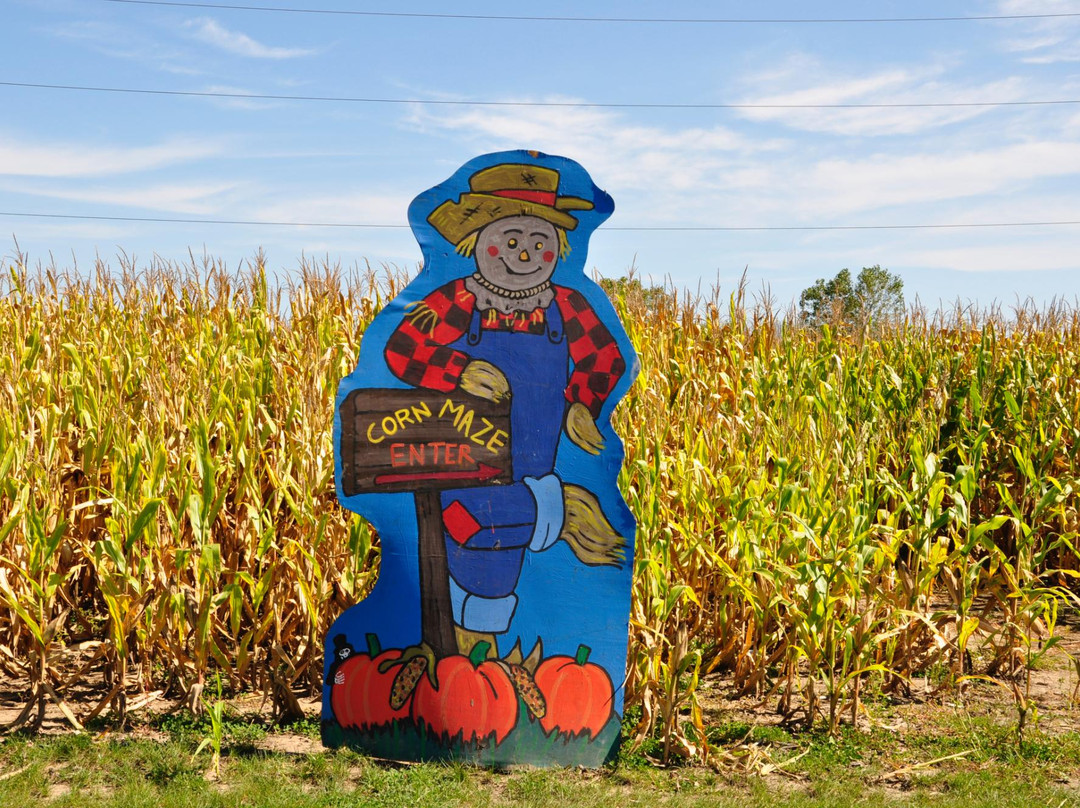 Jerry Smith Produce & Pumpkin Farm-基诺沙必去景点