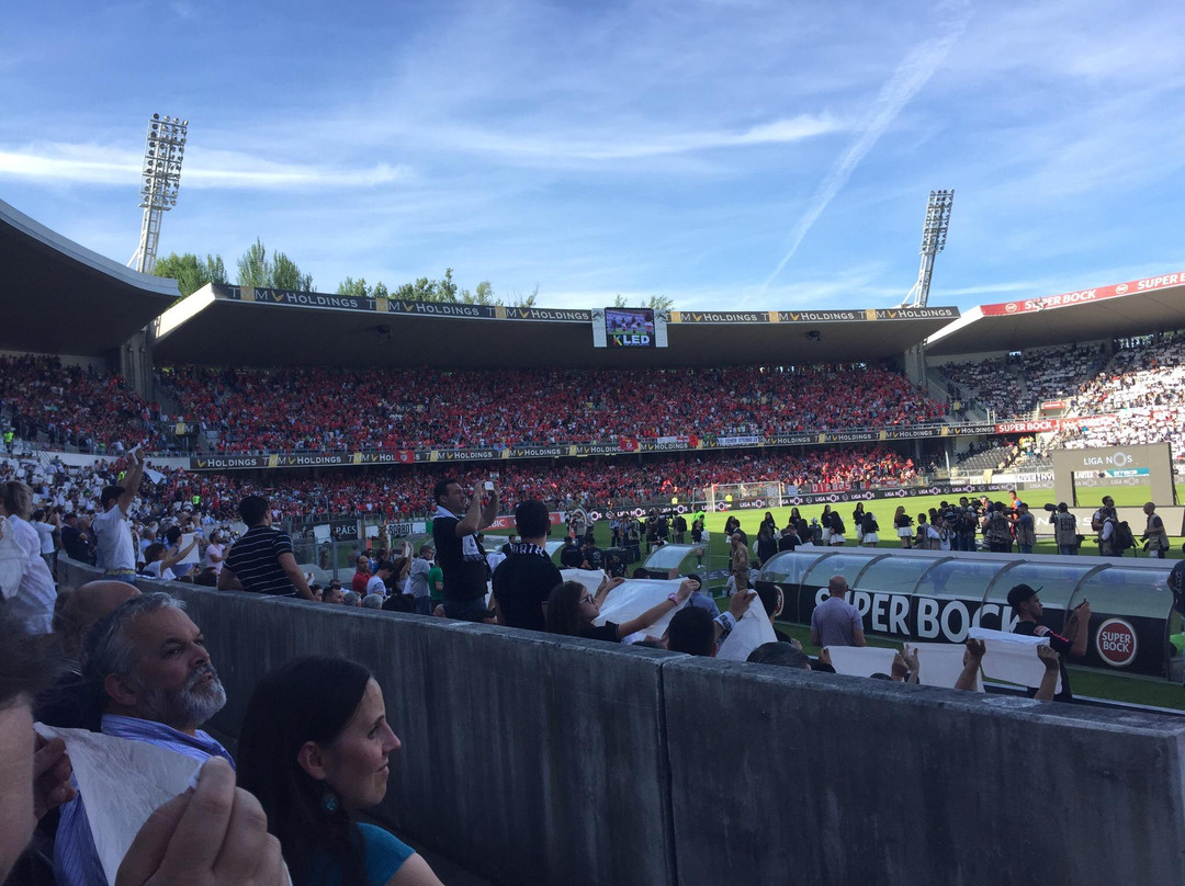 Estadio D. Afonso Henriques景点图片