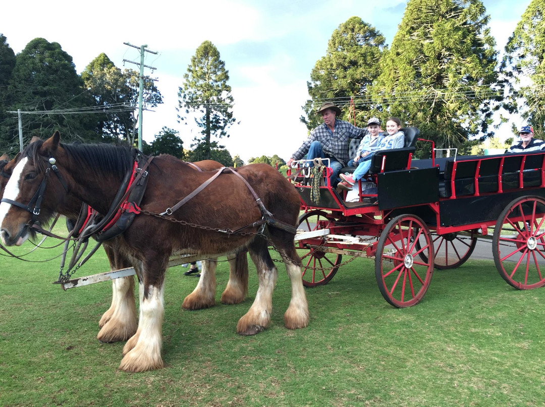 Bunya Mountains Horse Drawn Tours景点图片