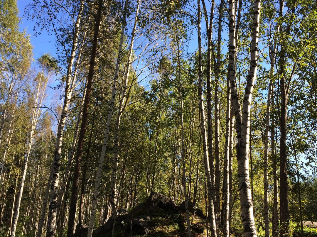 Hertsoestigen Trail-Luleå必去景点