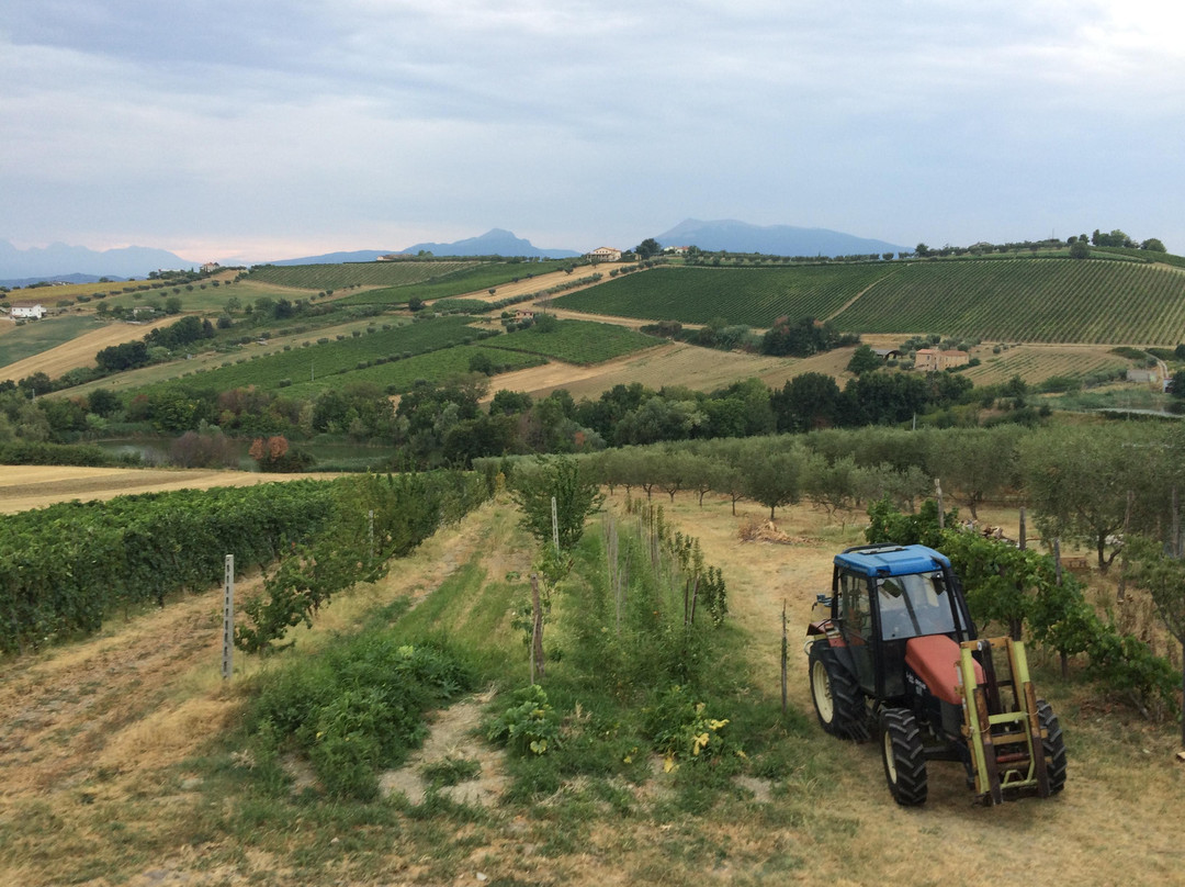 Agriturismo Gioie Di Fattoria