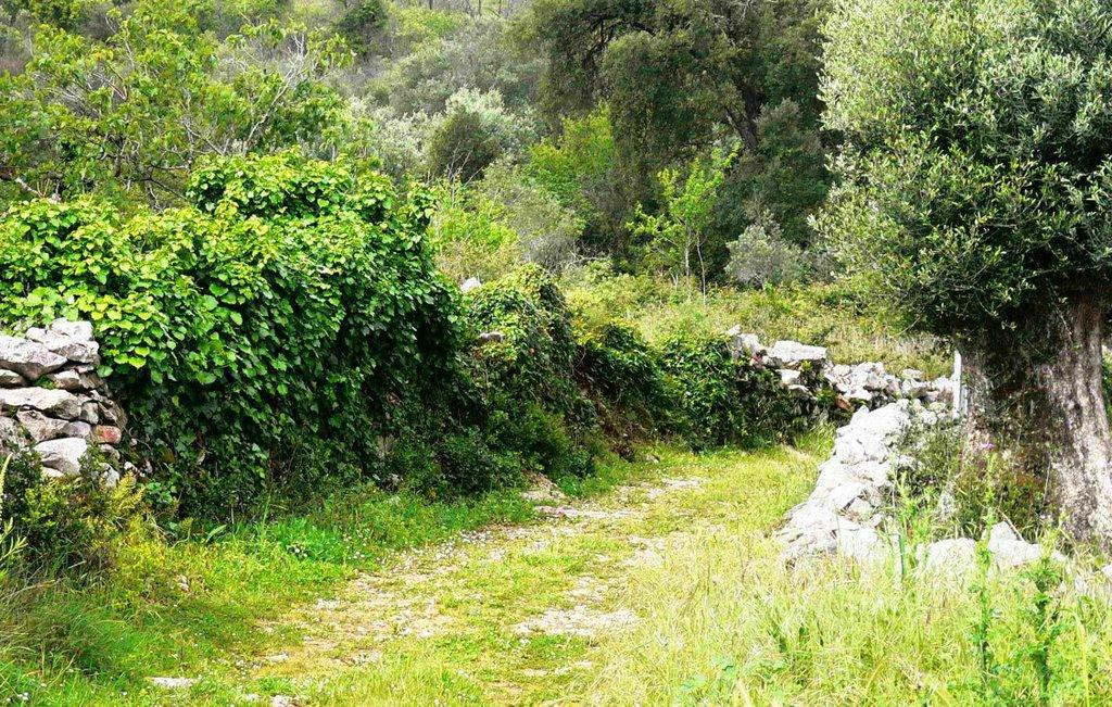 Parque Natural das Serras de Aire e Candeeiros景点图片