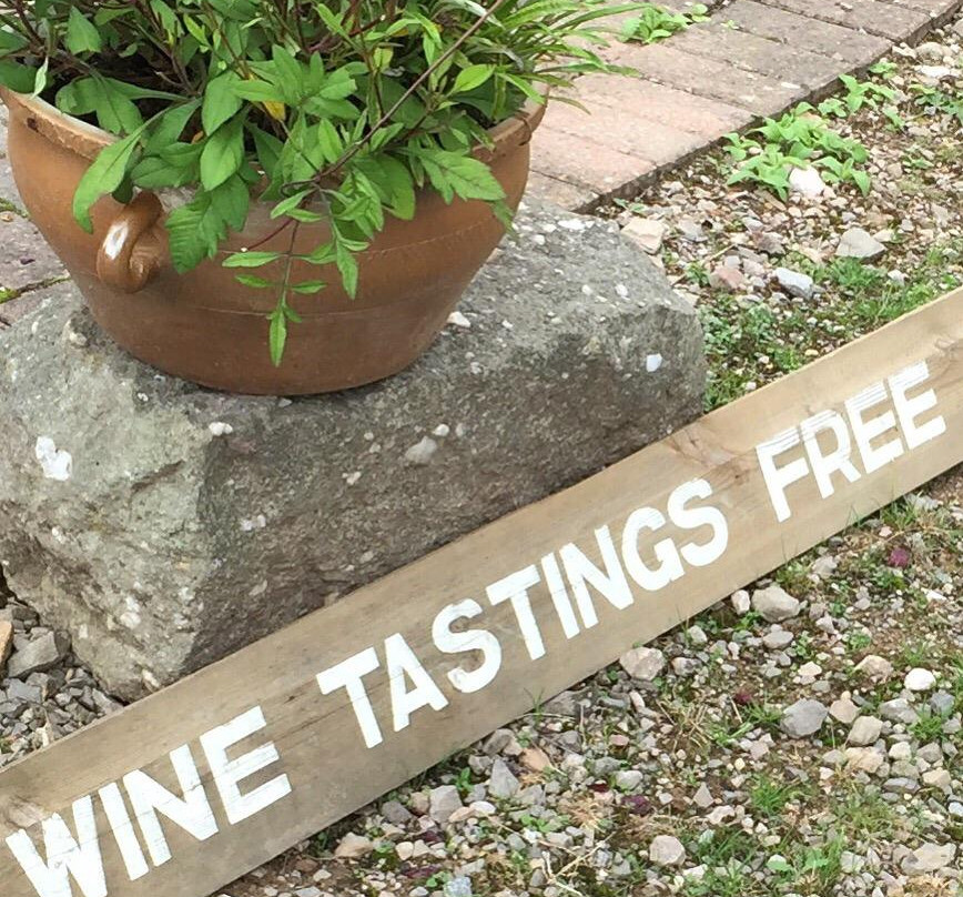 Parva Farm Vineyard景点图片