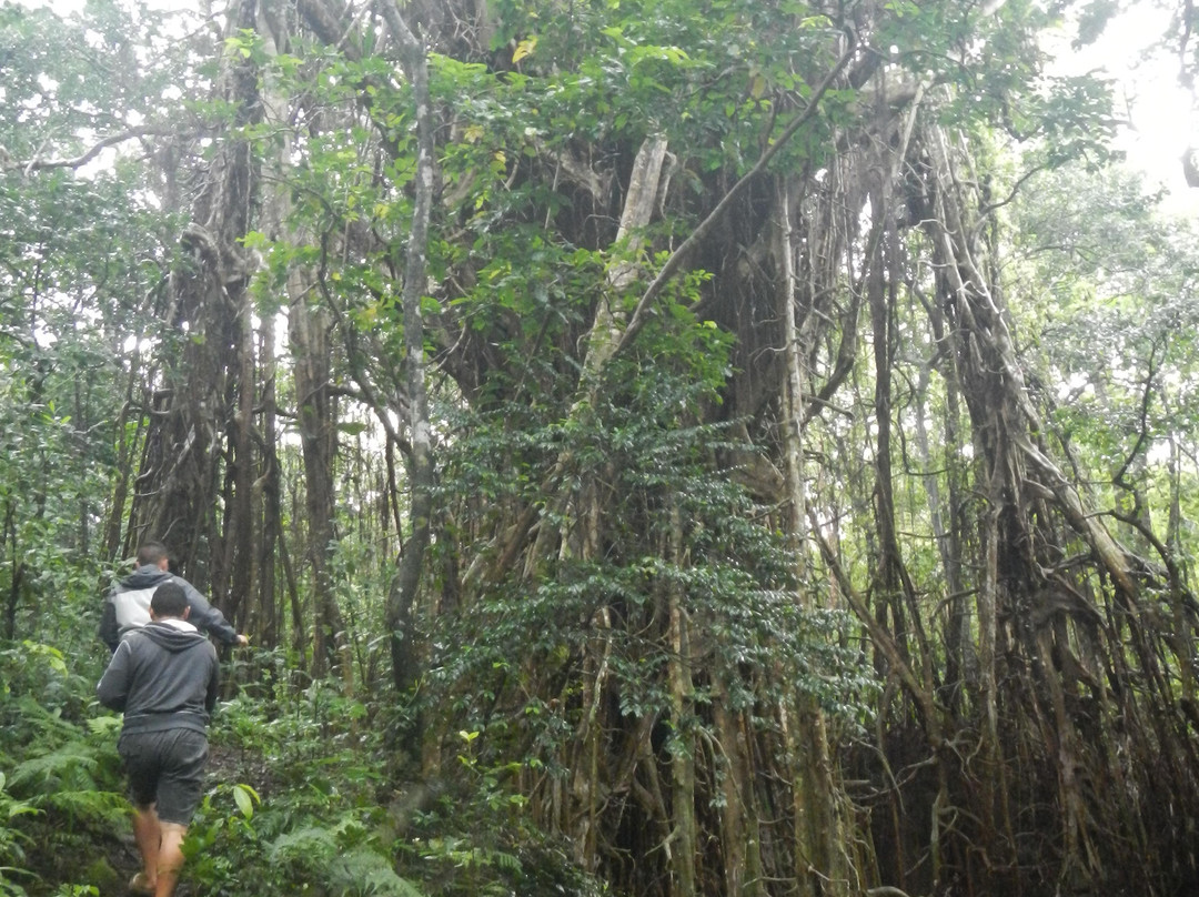 The Deep Resort主图