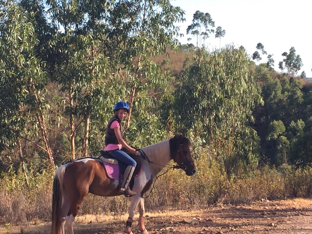 Country Riding Centre-Silves必去景点