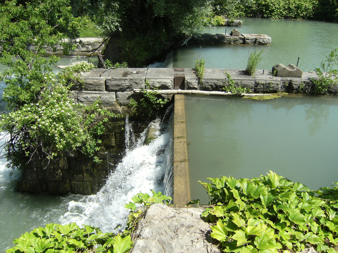 Royal Henley Park-圣凯瑟琳斯必去景点